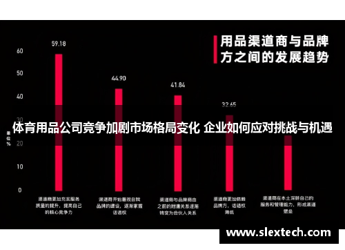 体育用品公司竞争加剧市场格局变化 企业如何应对挑战与机遇