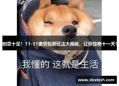 创意十足！11-11表情包新玩法大揭秘，让你惊艳十一天！