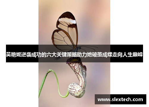 吴艳妮逆袭成功的六大关键策略助力她破茧成蝶走向人生巅峰