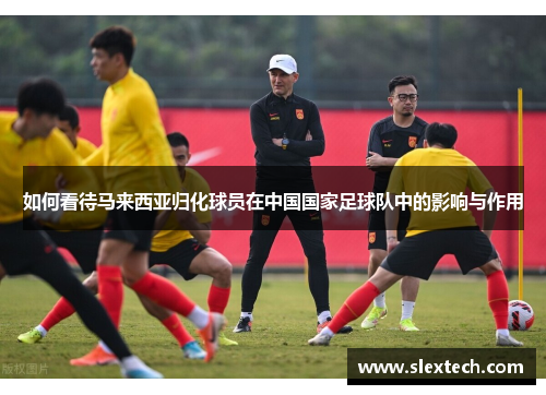 如何看待马来西亚归化球员在中国国家足球队中的影响与作用